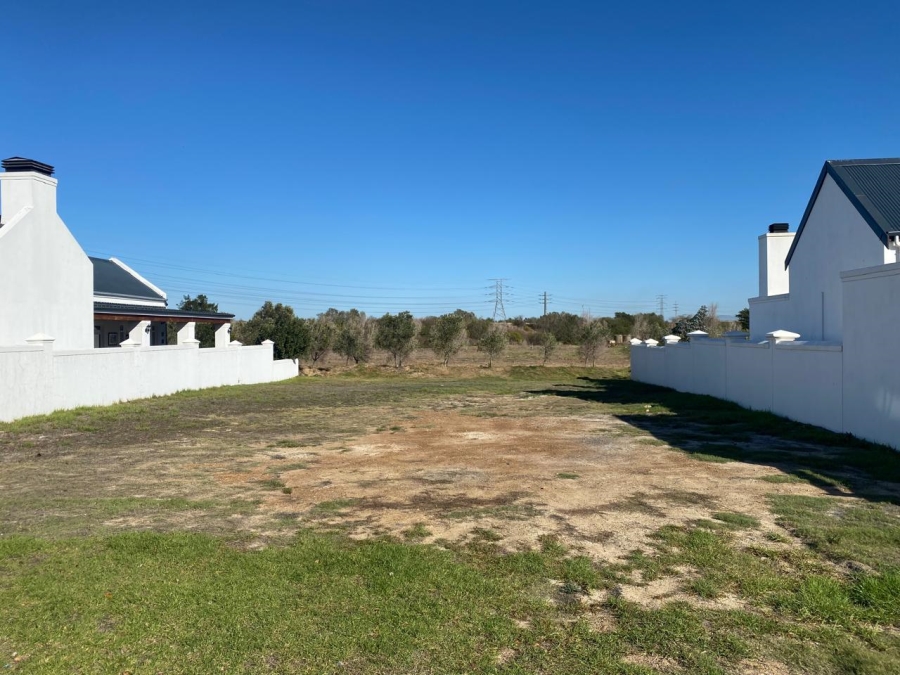 0 Bedroom Property for Sale in Croydon Olive Estate Western Cape